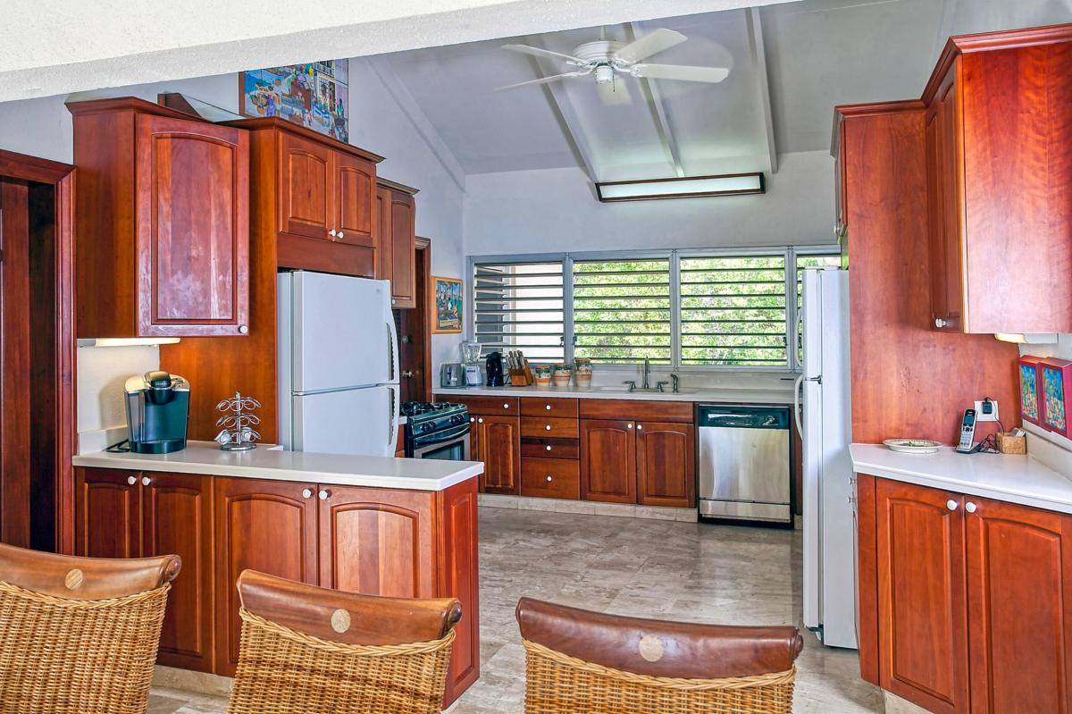 Villa for rent in St Martin - Kitchen